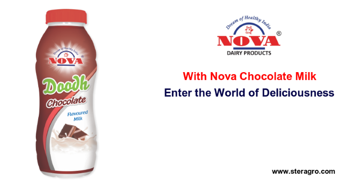 Nova Chocolate Milk