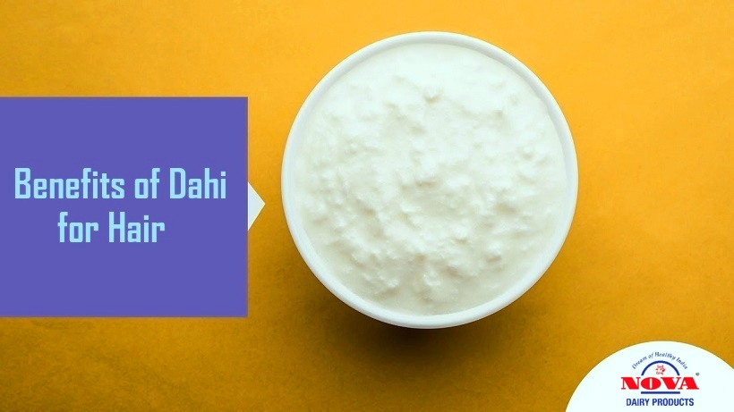 benefits of dahi for hair