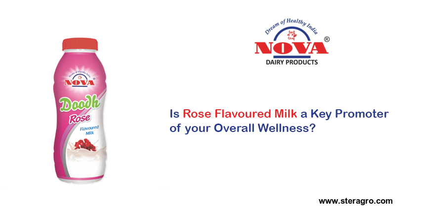 Rose Flavoured Milk