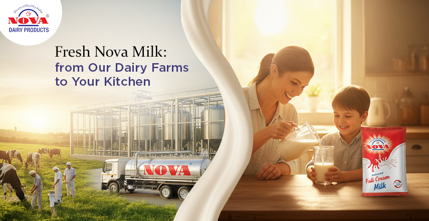 The Process of Making Nova Milk