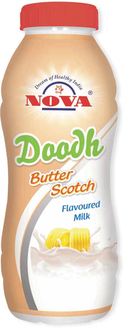 Nova butter scotch Flavoured Dudh